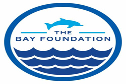 bay_foundation