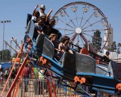 Photo Contest Winner  Category | Entertainment