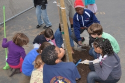 El Rincon gets a facelift