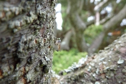 Residents can protect themselves from WNV by doing the following: