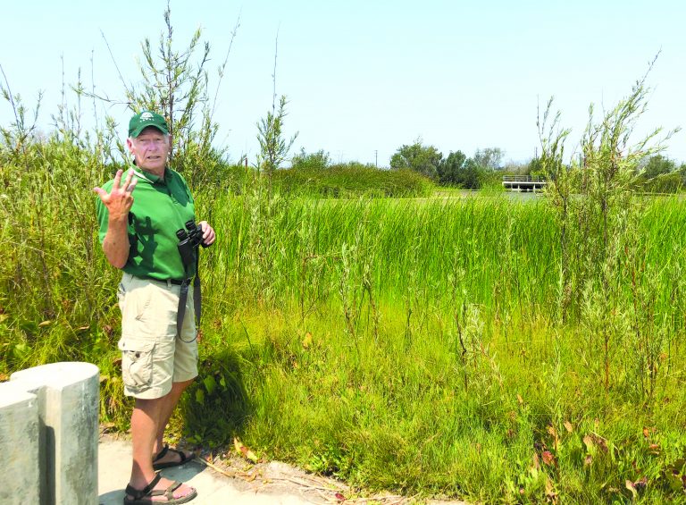 Friends of Ballona Wetlands have educational summer