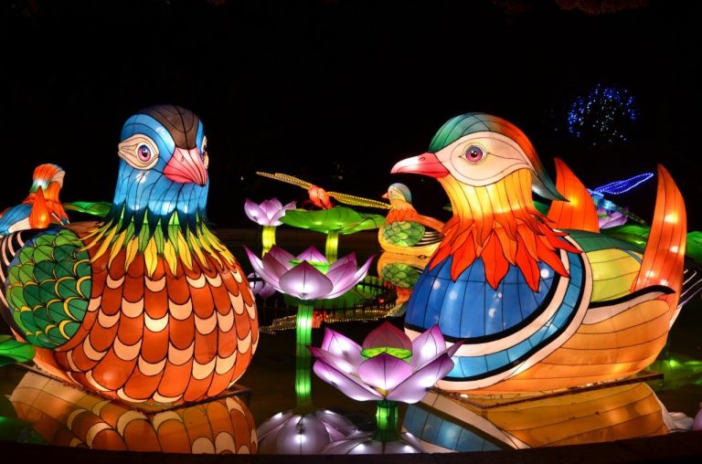 Chinese Lantern Festival to light up November Nights