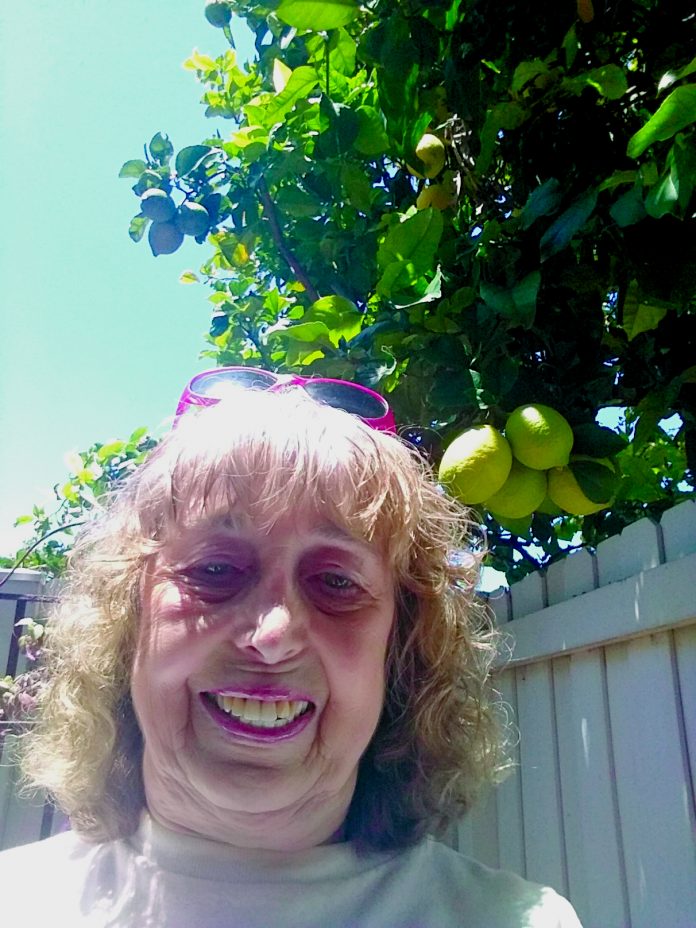 lemontree