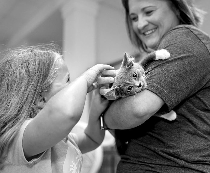 Carrying a cat