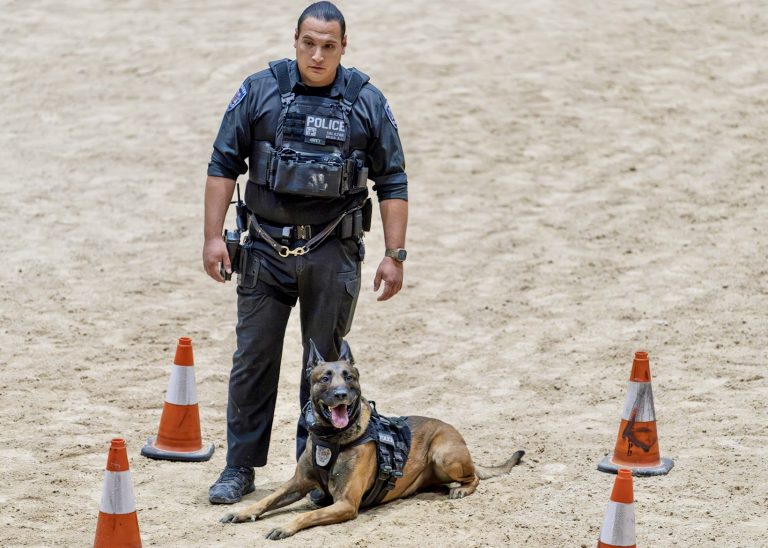 Culver City K9s claim Vegas victories